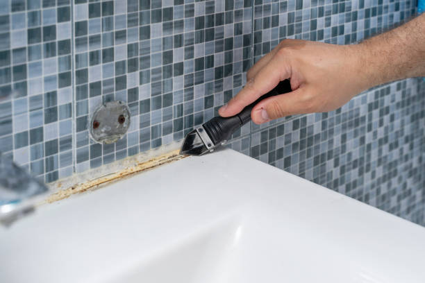Best Basement Mold Remediation in Grafton, WV